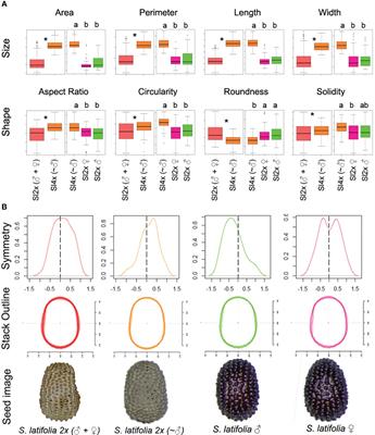 Seed shape and size of Silene latifolia, differences between sexes, and influence of the parental genome in hybrids with Silene dioica